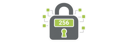 Enterprise Grade Security